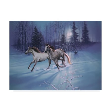 Kirk Reinert 'Winter Evening' Canvas Art,14x19